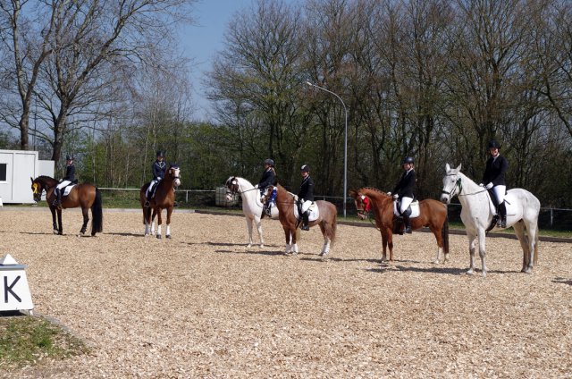 Reitertag_2019